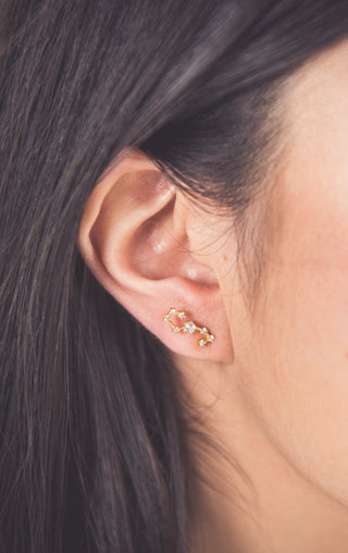 Zodiac Queen Earrings - Wedges And Wide Legs Boutique